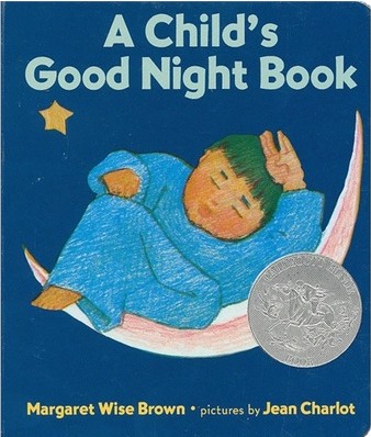 A Child's Good Night Book
