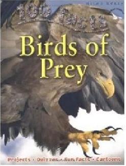 100 facts birds of prey