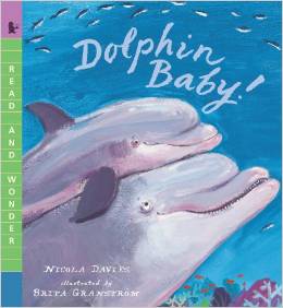 Dolphin Baby! L4.2