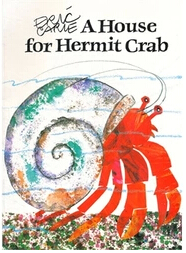 House For Hermit Crab