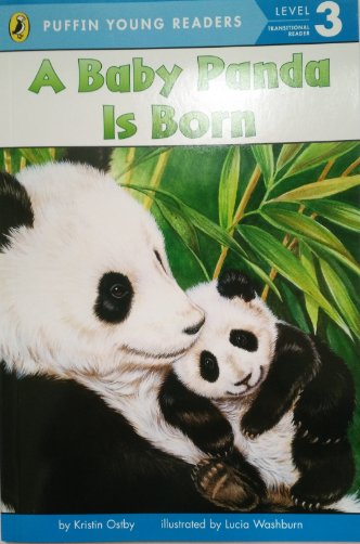 A baby panda is born  2.7