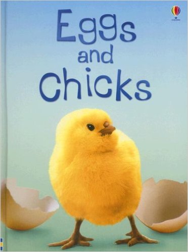 Usborne young reader: Eggs and Chicks L3.2