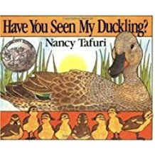 Have You Seen My Duckling?