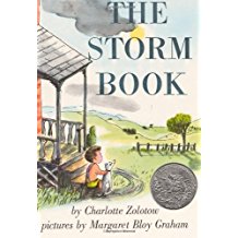 The Storm Book  L5.0
