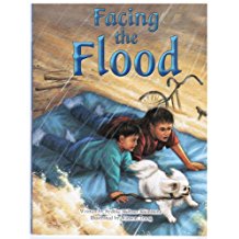 Facing the Flood L3.6