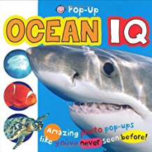 Pop-Up Ocean IQ