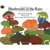 Mushroom in the Rain  L2.5