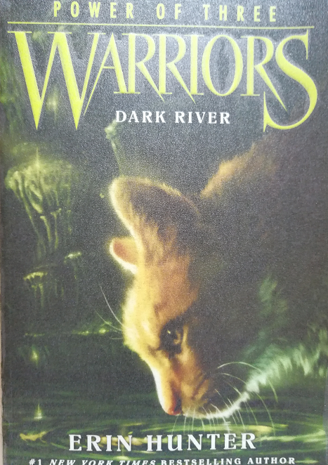 Warriors :Dark River L4.3