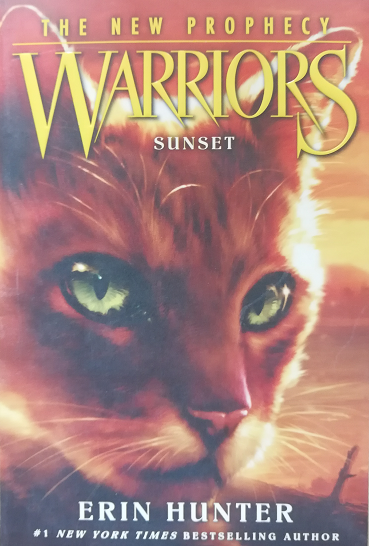 Warriors Sunset  5.5
