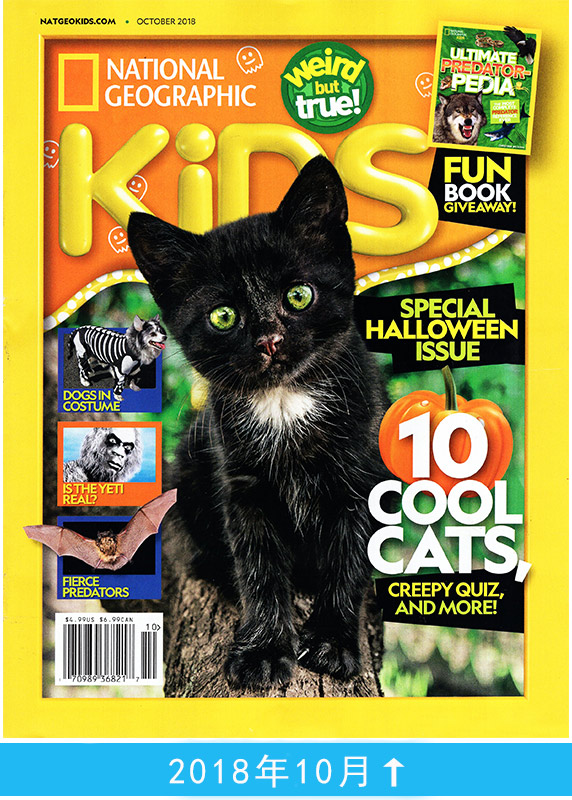 National Geographic Kids: 10 cool cats