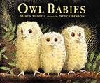 Owl Babies L2.4